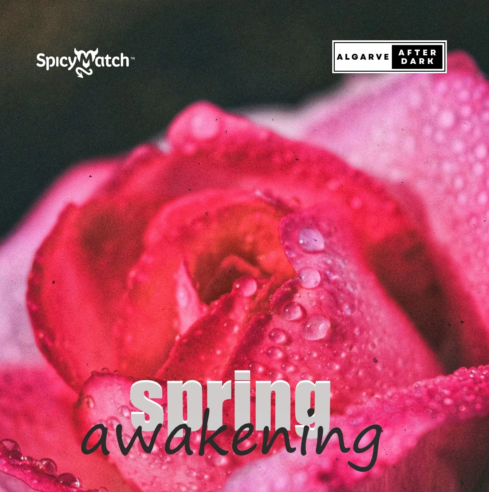 Spring Awakening
